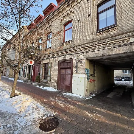 公寓 In Centre Self Check-in No 5 维尔纽斯